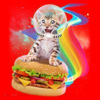 Rainbow Burger Space Cat Santa Hat thumb 1