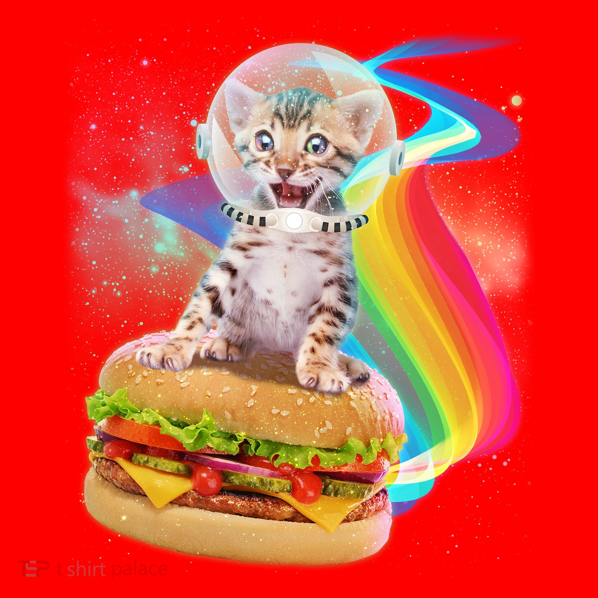 Rainbow Burger Space Cat Santa Hat
