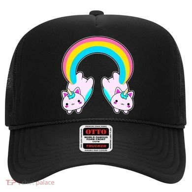 Rainbow Cat Twin Caticorns Hat