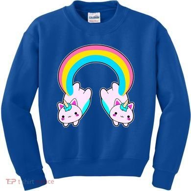 Rainbow Cat Twin Caticorns Kids Sweatshirt