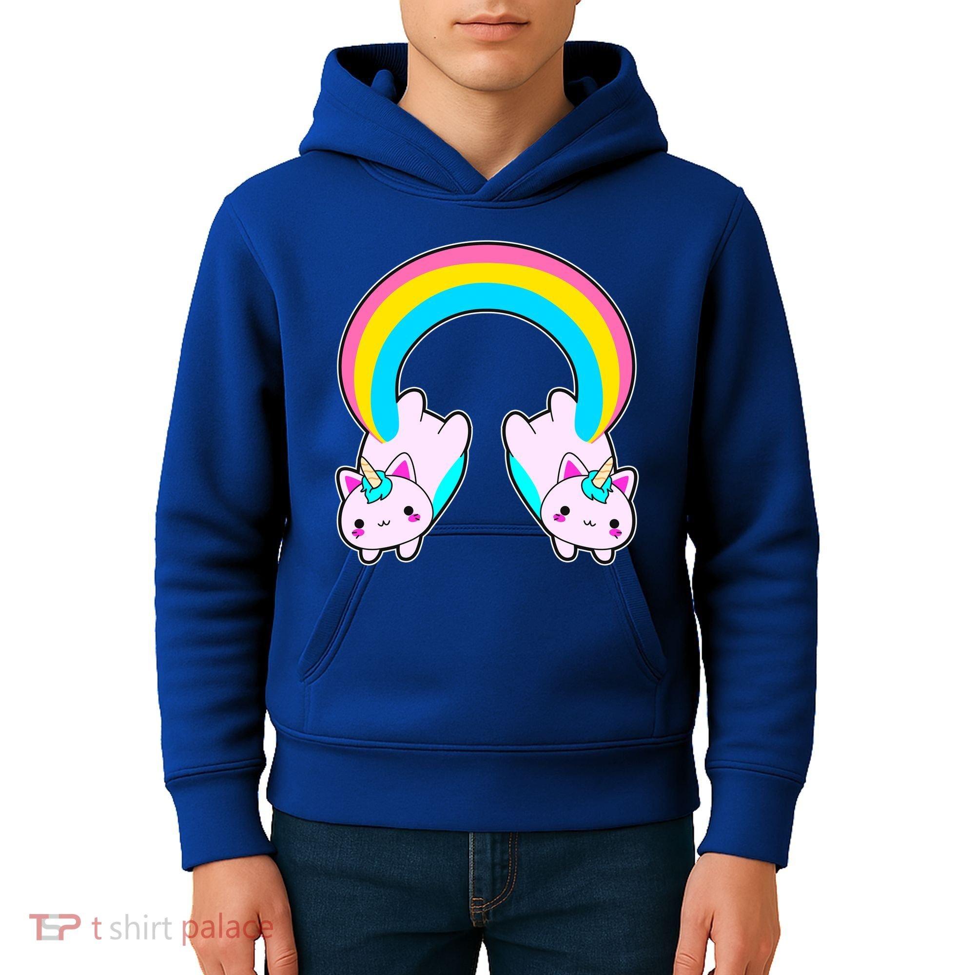 Rainbow Cat Twin Caticorns Kids Hoodie