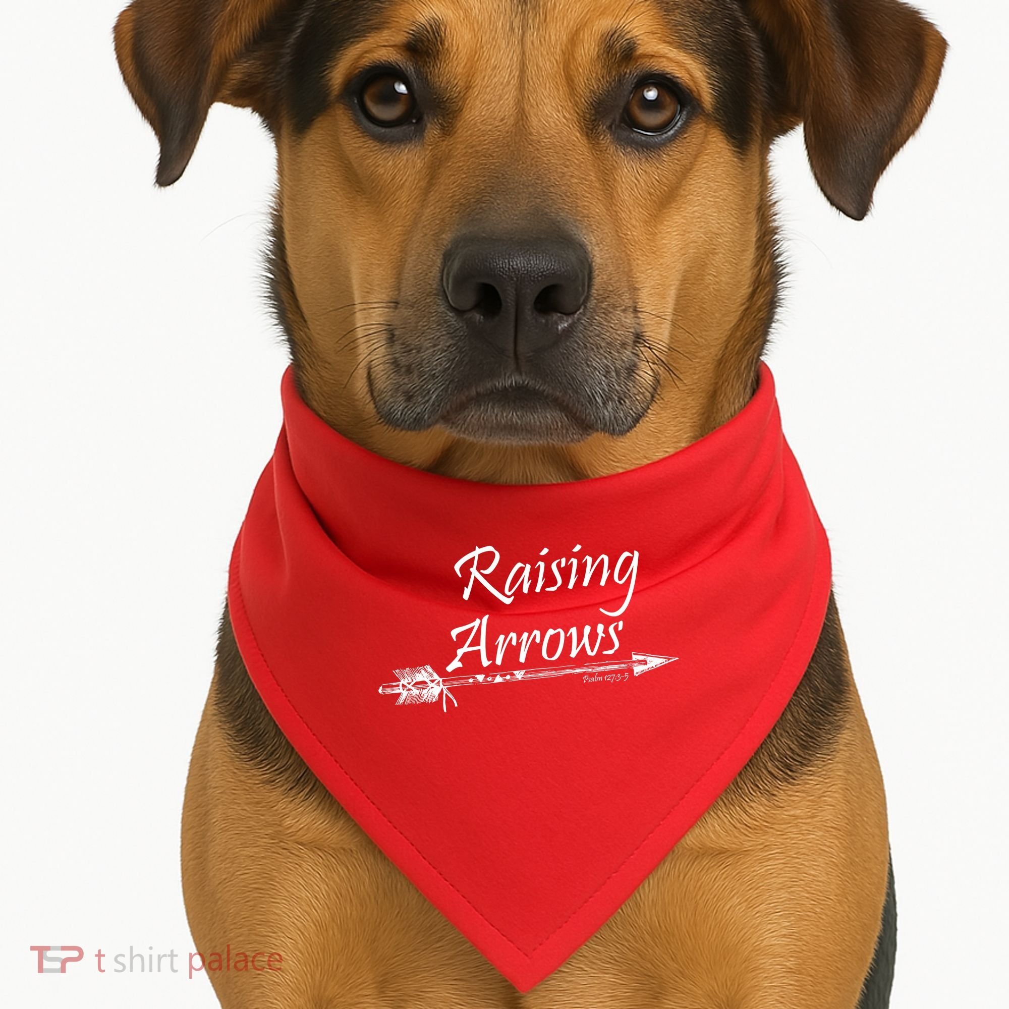 Raising Arrows Christian Psalm 127:3-5 USA-Made Doggie Bandana