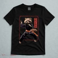 Raccoon Animal Martial Arts T-Shirt thumb 5