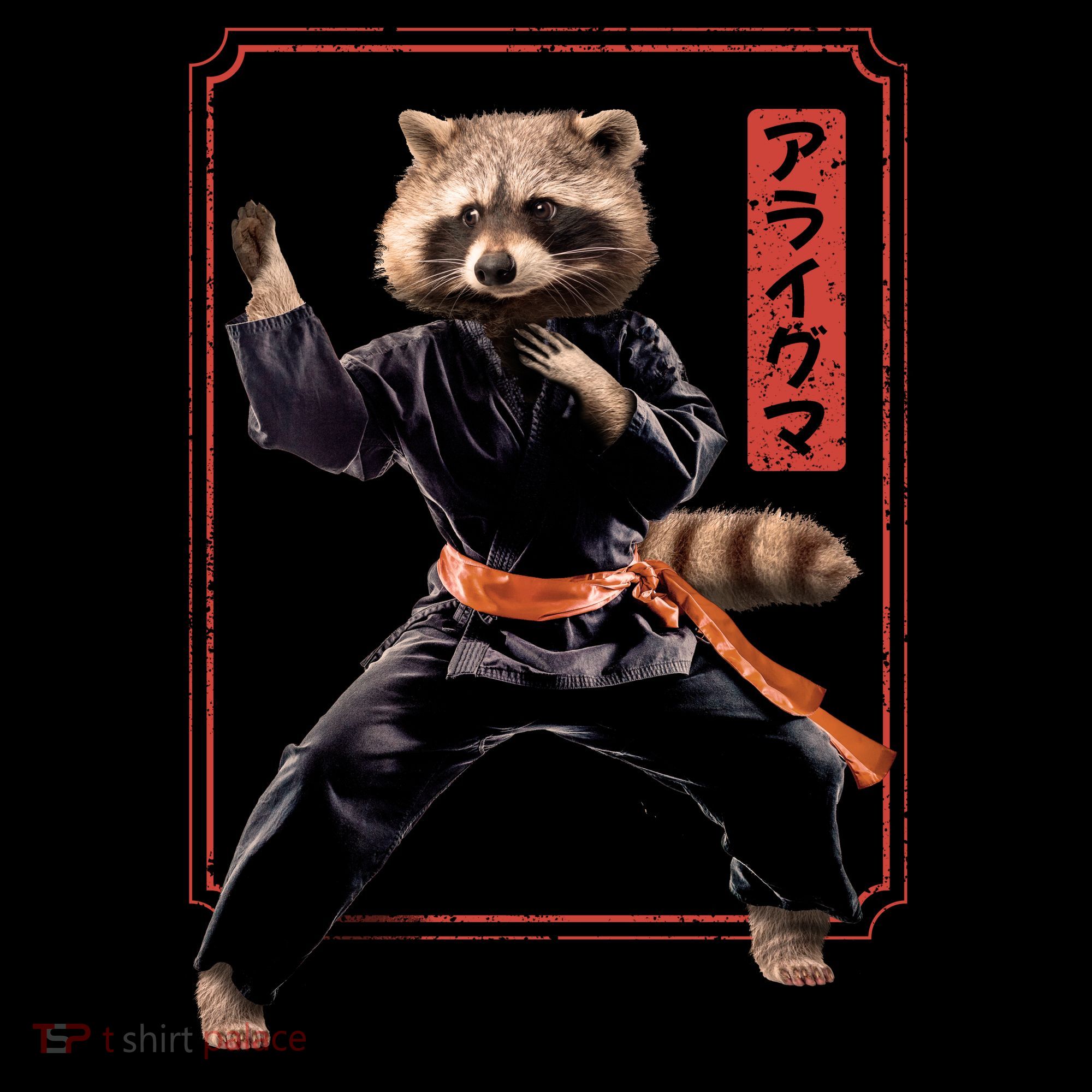 Raccoon Animal Martial Arts Ornament