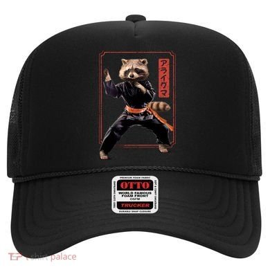 Raccoon Animal Martial Arts Hat