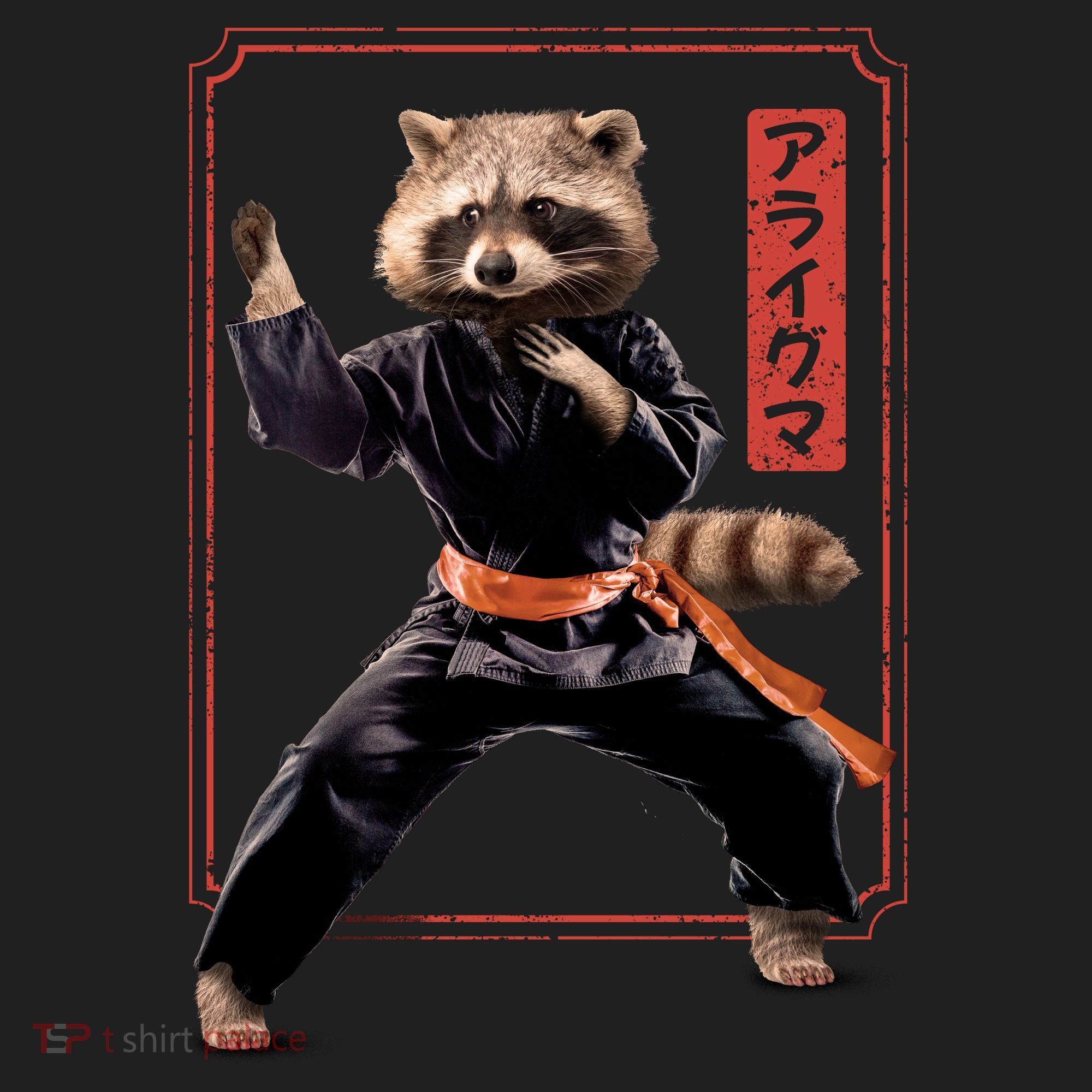 Raccoon Animal Martial Arts Hat