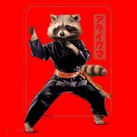 Raccoon Animal Martial Arts Santa Hat thumb 1