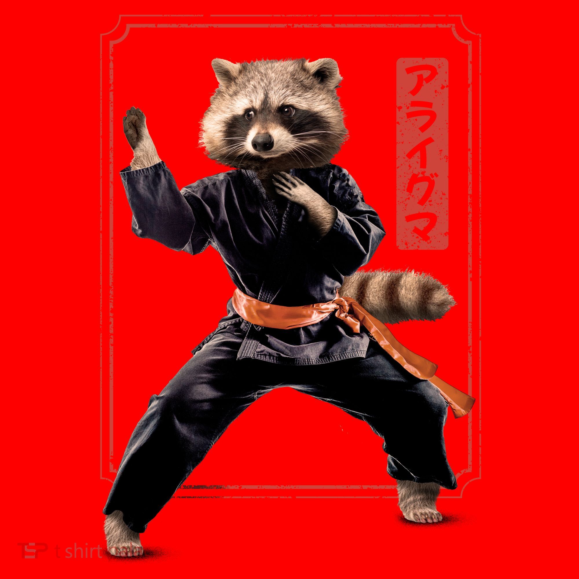 Raccoon Animal Martial Arts Santa Hat