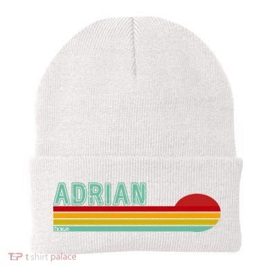 Retro Adrian Michigan Beanie