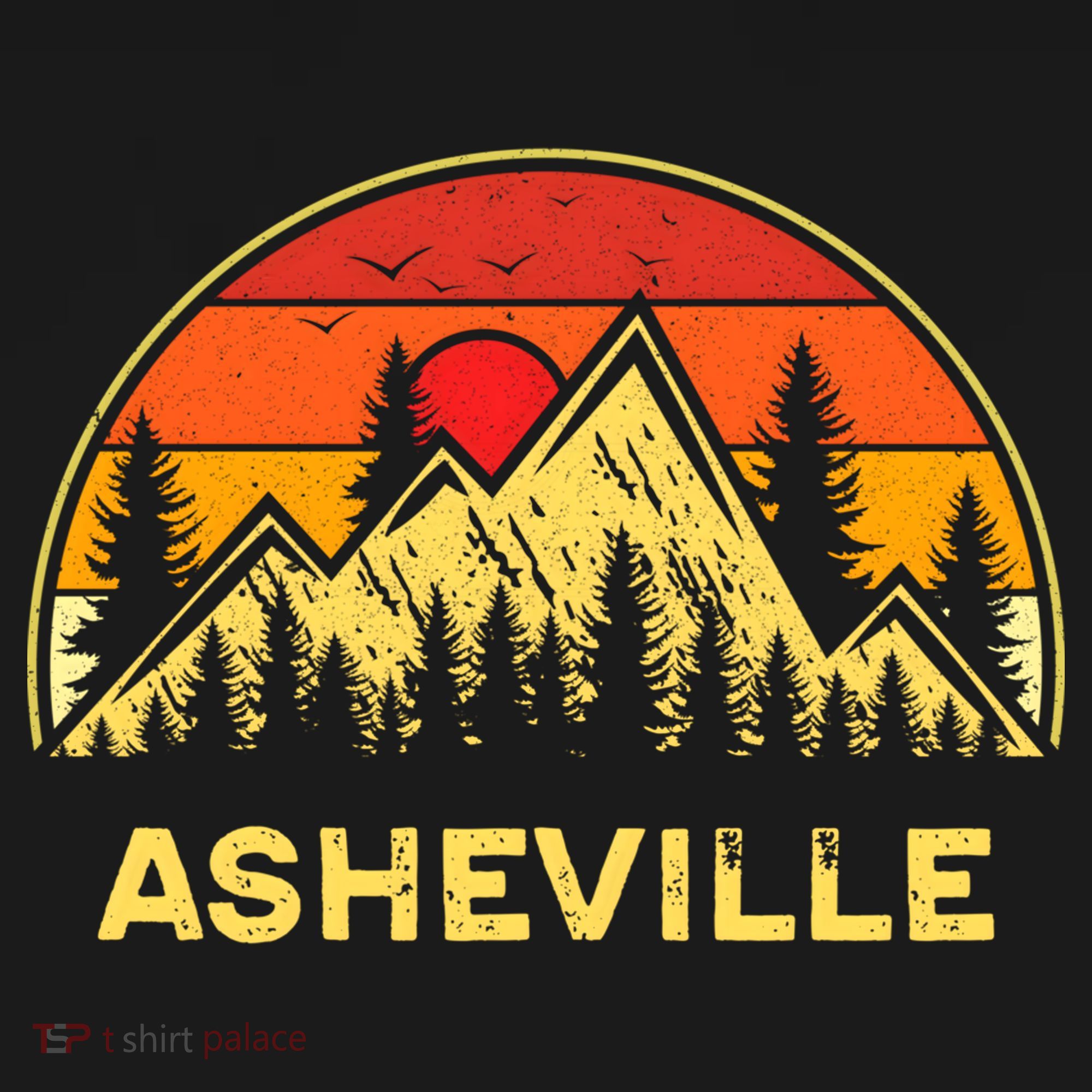 Retro Asheville North Carolina Nc Mountains Hiking Souvenir Cute Gift Women's Hoodie