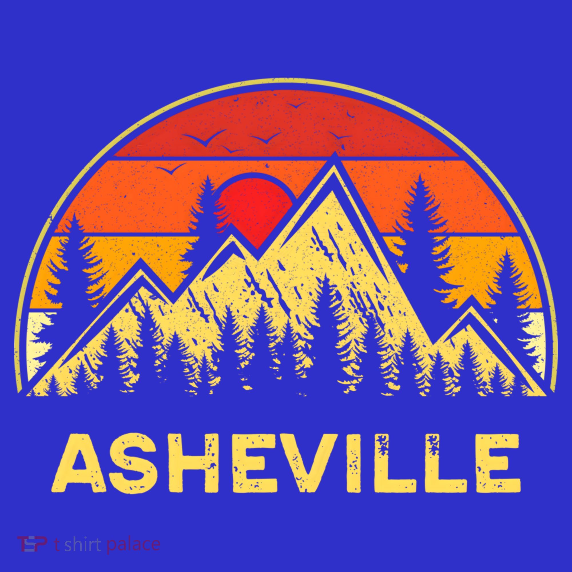 Retro Asheville North Carolina Nc Mountains Hiking Souvenir Cute Gift Sweatshirt