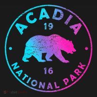 Retro Acadia National Park Colorful Tie Dye Bear T-Shirt thumb 7