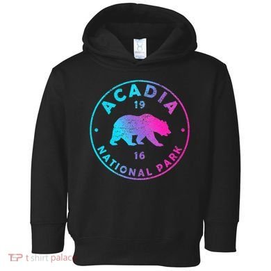 Retro Acadia National Park Colorful Tie Dye Bear Toddler Hoodie