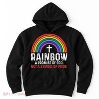 Rainbow A Promise Of God Not A Symbol Of Pride Hoodie thumb 0