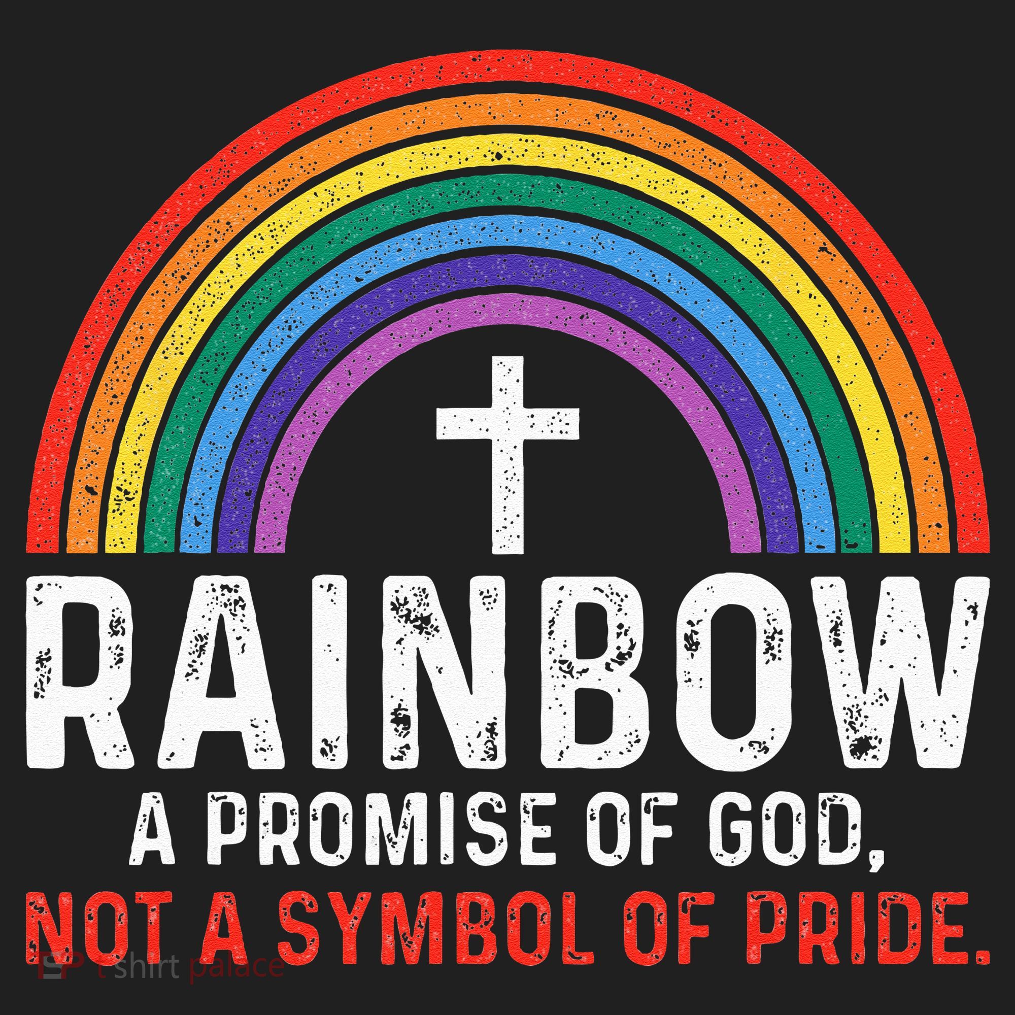 Rainbow A Promise Of God Not A Symbol Of Pride Beanie