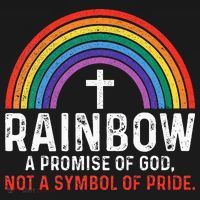 Rainbow A Promise Of God Not A Symbol Of Pride Women's Hoodie thumb 2