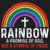 Rainbow A Promise Of God Not A Symbol Of Pride Hat thumb 2