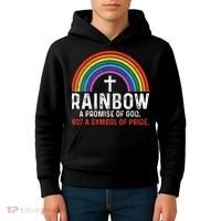 Rainbow A Promise Of God Not A Symbol Of Pride Kids Hoodie thumb 4