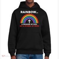 Rainbow A Promise Of God Not A Symbol Of Pride District V.I.T. Heavyweight Hoodie thumb 0