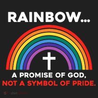 Rainbow A Promise Of God Not A Symbol Of Pride Hat thumb 2