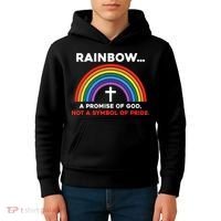 Rainbow A Promise Of God Not A Symbol Of Pride Kids Hoodie thumb 4