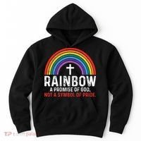 Rainbow A Promise Of God Not A Symbol Of Pride Hoodie thumb 0