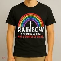 Rainbow A Promise Of God Not A Symbol Of Pride T-Shirt thumb 3