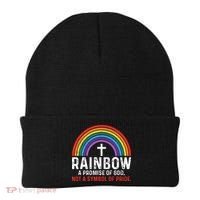Rainbow A Promise Of God Not A Symbol Of Pride Beanie thumb 0