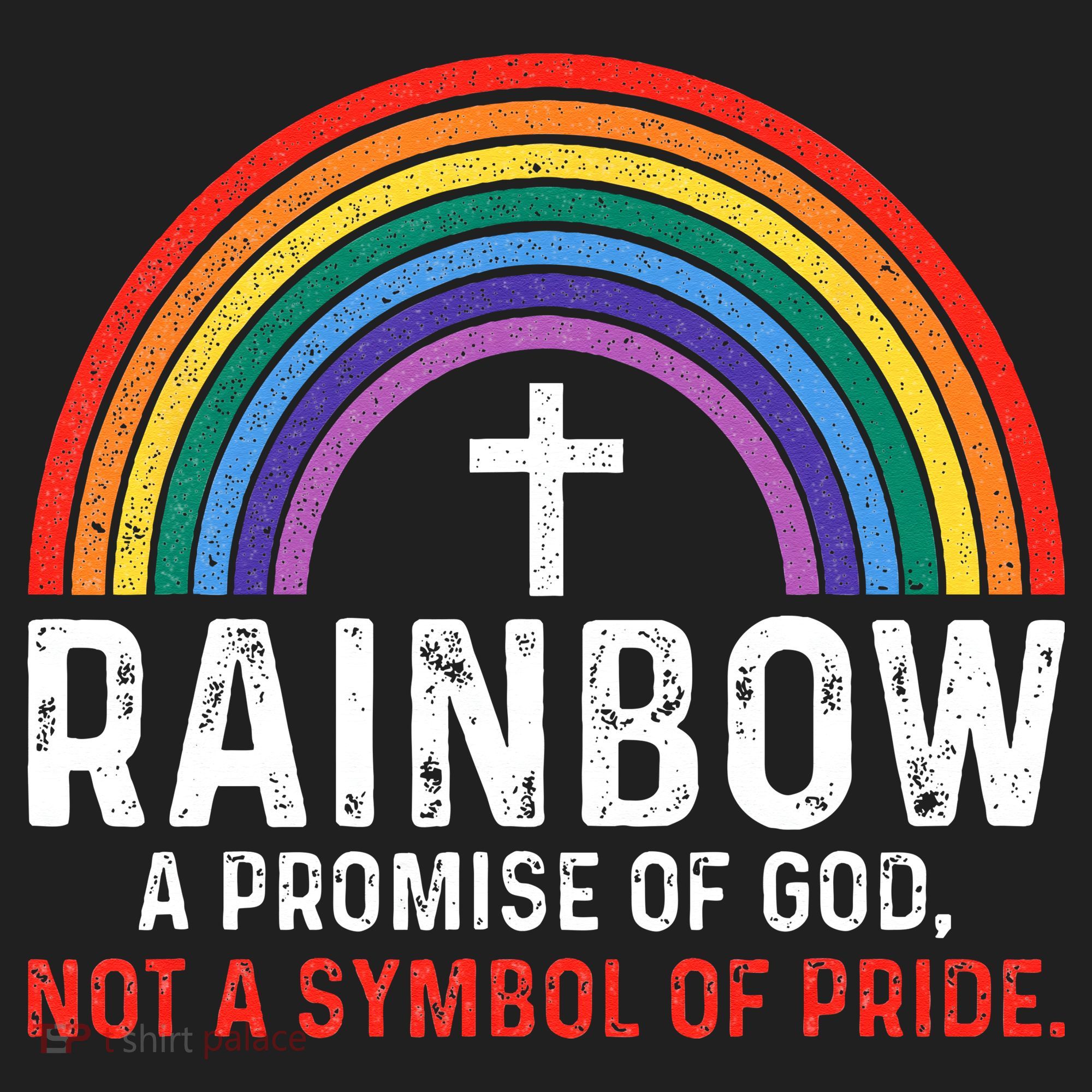 Rainbow A Promise Of God Not A Symbol Of Pride Tumbler
