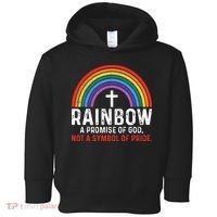 Rainbow A Promise Of God Not A Symbol Of Pride Toddler Hoodie thumb 0