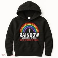 Rainbow A Promise Of God Not A Symbol Of Pride Kids Hoodie thumb 0
