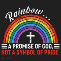 Rainbow A Promise Of God Not A Symbol Of Pride Beanie thumb 2