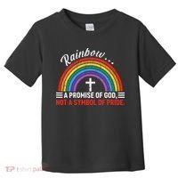Rainbow A Promise Of God Not A Symbol Of Pride Toddler T-Shirt thumb 0