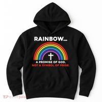 Rainbow A Promise Of God Not A Symbol Of Pride Hoodie thumb 0