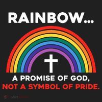 Rainbow A Promise Of God Not A Symbol Of Pride Hat thumb 2