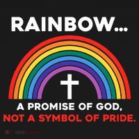 Rainbow A Promise Of God Not A Symbol Of Pride Tank Top thumb 6
