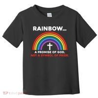 Rainbow A Promise Of God Not A Symbol Of Pride Toddler T-Shirt thumb 0