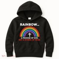 Rainbow A Promise Of God Not A Symbol Of Pride Kids Hoodie thumb 0