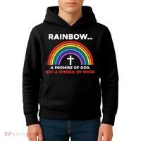 Rainbow A Promise Of God Not A Symbol Of Pride Kids Hoodie thumb 4