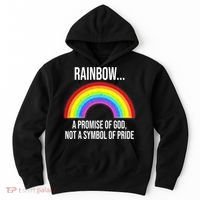 Rainbow A Promise Of God Not A Symbol Of Pride Hoodie thumb 0