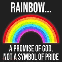 Rainbow A Promise Of God Not A Symbol Of Pride Beanie thumb 2