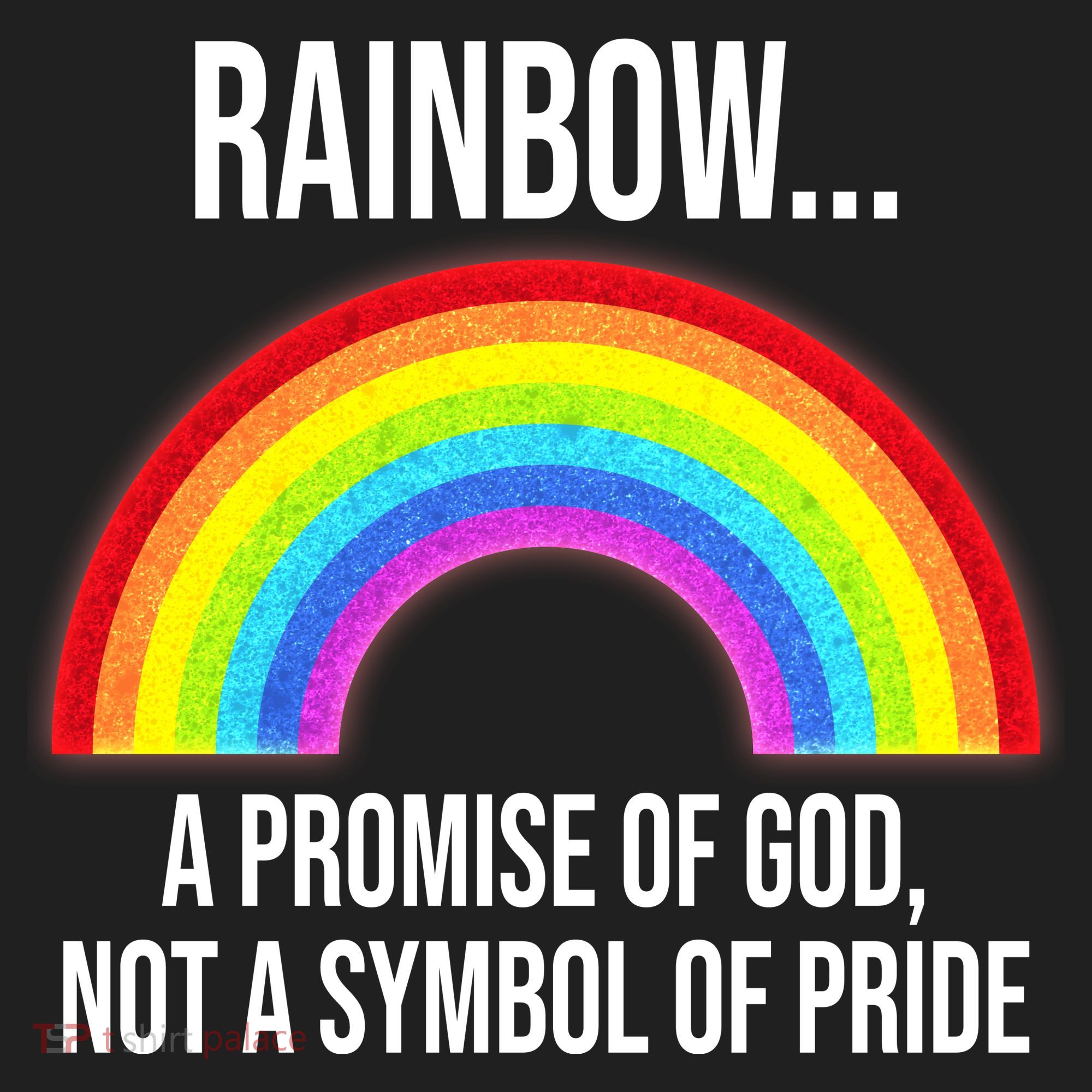 Rainbow A Promise Of God Not A Symbol Of Pride Beanie