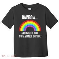 Rainbow A Promise Of God Not A Symbol Of Pride Toddler T-Shirt thumb 0