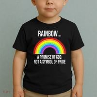 Rainbow A Promise Of God Not A Symbol Of Pride Toddler T-Shirt thumb 2
