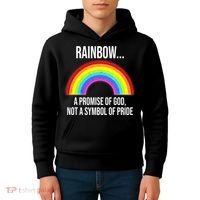 Rainbow A Promise Of God Not A Symbol Of Pride Kids Hoodie thumb 4