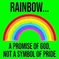 Rainbow A Promise Of God Not A Symbol Of Pride Long Sleeve Shirt thumb 2