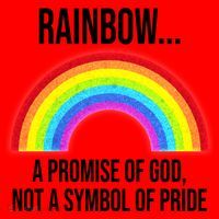 Rainbow A Promise Of God Not A Symbol Of Pride Santa Hat thumb 1