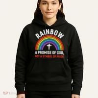 Rainbow A Promise Of God Not A Symbol Of Pride Hoodie thumb 5