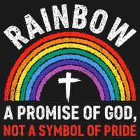 Rainbow A Promise Of God Not A Symbol Of Pride Hoodie thumb 7
