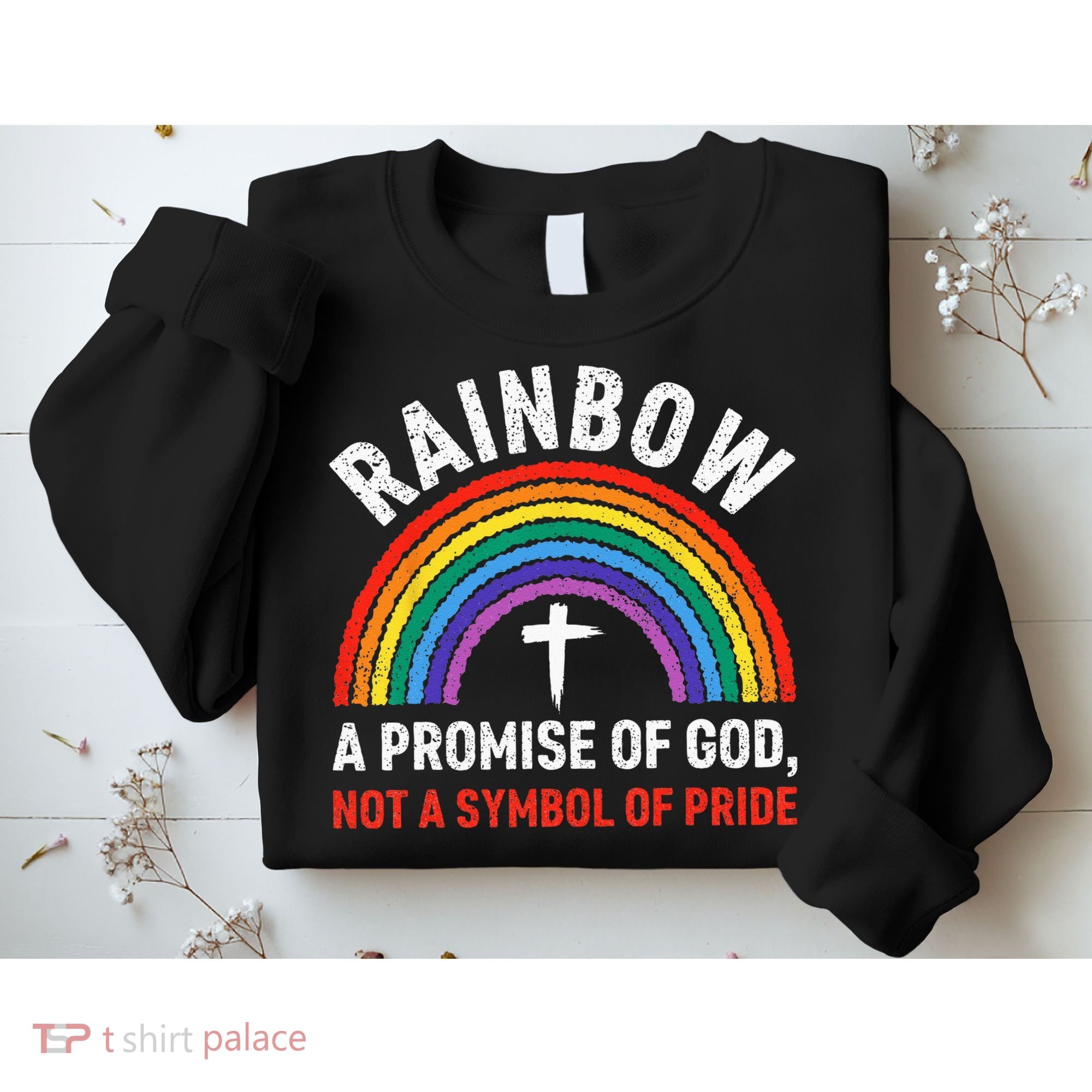 Rainbow A Promise Of God Not A Symbol Of Pride Sweatshirt